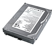 Seagate ST3160827AS