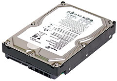 (Klik za uvećanje: JPEG, 50 KB) Seagate ST31000340AS